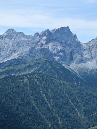 Zum Schafreuter