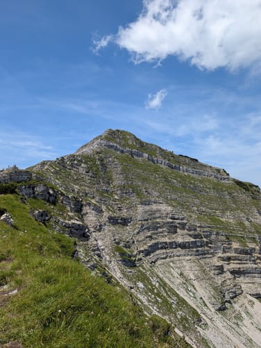 Zum Schafreuter