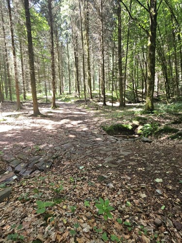 Schönborn - Sachsenburg - Dreiwerden