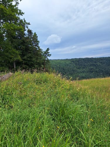 Sommerberg -Soldatenbrunnenhütte