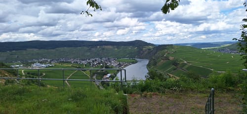 Rund um Zimmet - Moselwanderung in Piesport