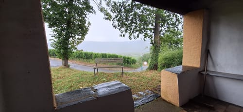 Rund um Zimmet - Moselwanderung in Piesport