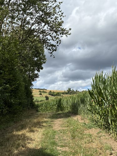 Oberweis (Naturpark Südeifel Wanderweg Nr. 73)