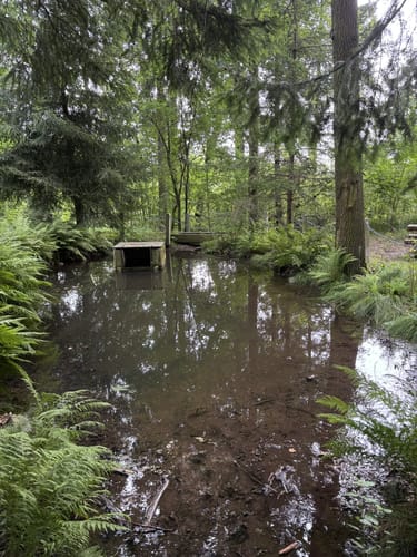 Teufelskanzel Rundweg