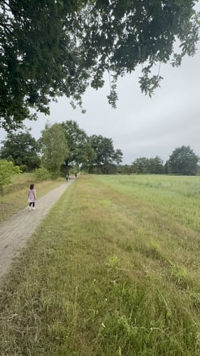 Südheide 'Wacholderwald in der Teufelsheide' W1m (mittlere Tour)