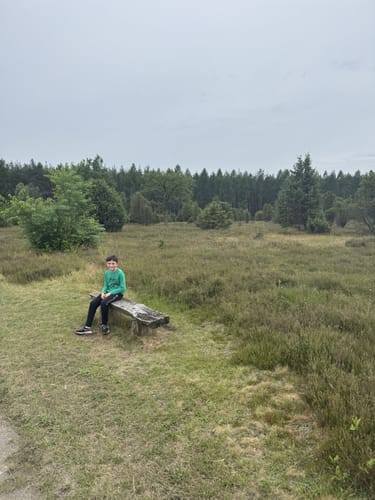 Südheide 'Wacholderwald in der Teufelsheide' W1m (mittlere Tour)