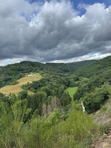 HeimatSpur Wacholder-Kyll-Weg
