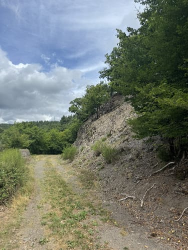HeimatSpur Wacholder-Kyll-Weg