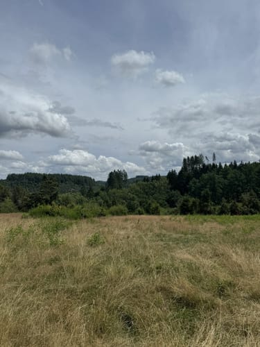HeimatSpur Wacholder-Kyll-Weg