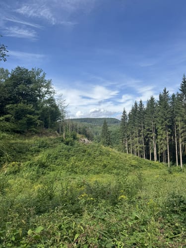 HeimatSpur Wacholder-Kyll-Weg