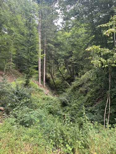 HeimatSpur Wacholder-Kyll-Weg