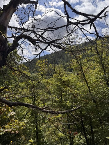 Schwarzatal Rundwanderung