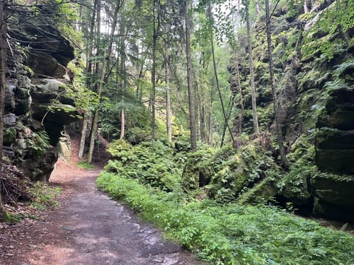 Malerweg Etappe 1: Pirna-Liebethal - Stadt Wehlen