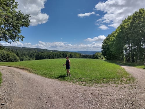 Durch den Wald bei Hänner