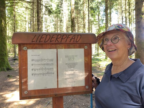 Durch den Wald bei Hänner