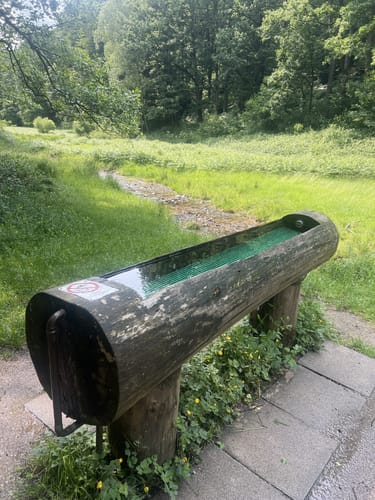 Bad Orb Rundwanderweg 4 (Bildeichenweg)