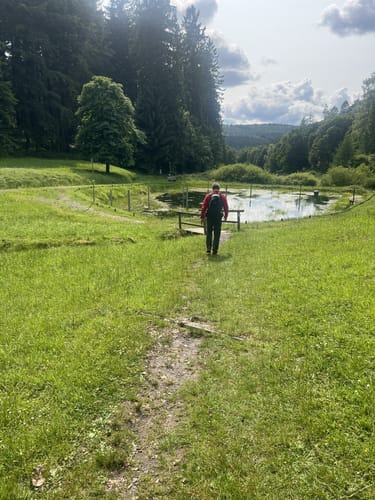 Bad Orb Rundwanderweg 4 (Bildeichenweg)