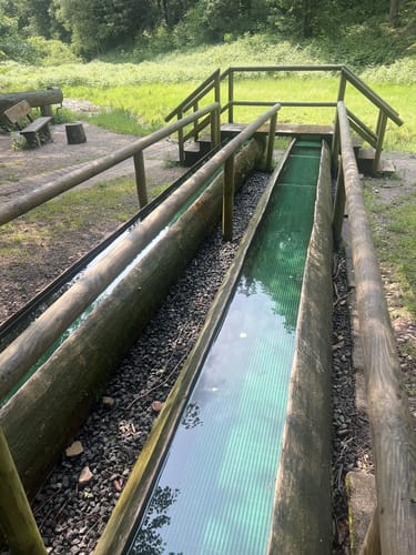 Bad Orb Rundwanderweg 4 (Bildeichenweg)