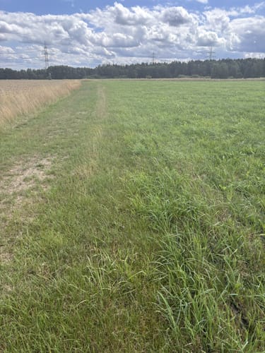 Parkstein Ringweg 2