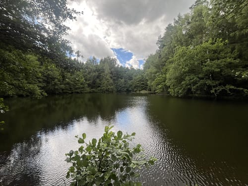 53. Glauchauer Wandertag