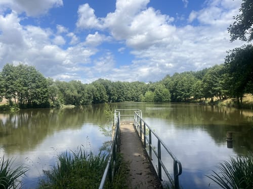 53. Glauchauer Wandertag