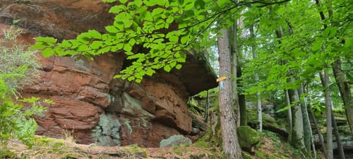 Brunnen- und Quellenweg (Premiumwanderweg)