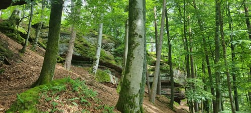 Brunnen- und Quellenweg (Premiumwanderweg)
