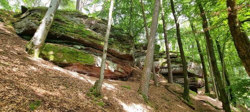 Brunnen- und Quellenweg (Premiumwanderweg)