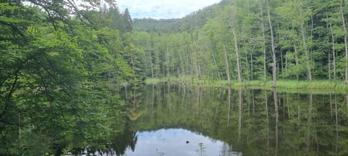 Brunnen- und Quellenweg (Premiumwanderweg)