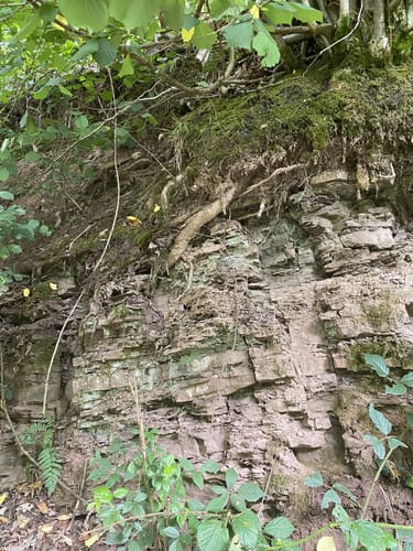 Uslar - Bergsee Delliehausen - Dinkelhausen