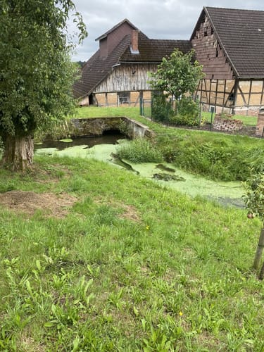 Uslar - Bergsee Delliehausen - Dinkelhausen