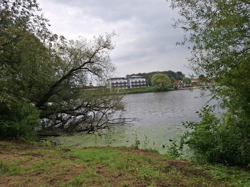 Rund um den Vechtesee