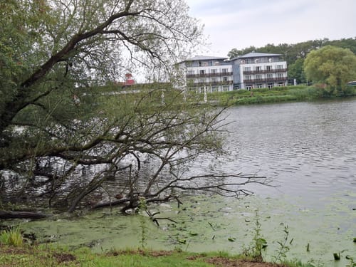 Rund um den Vechtesee