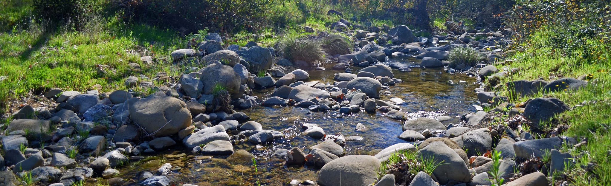 Trout Creek Trail, California 23 Reviews, Map AllTrails