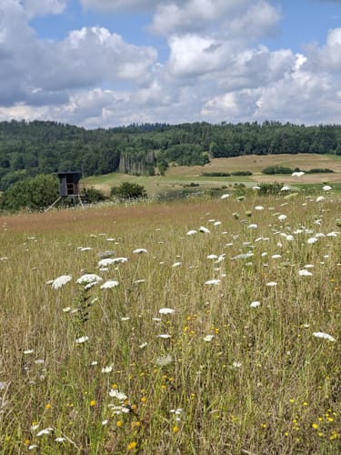 Baumbach Rundweg Ba2