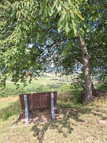 Baumbach Rundweg Ba2