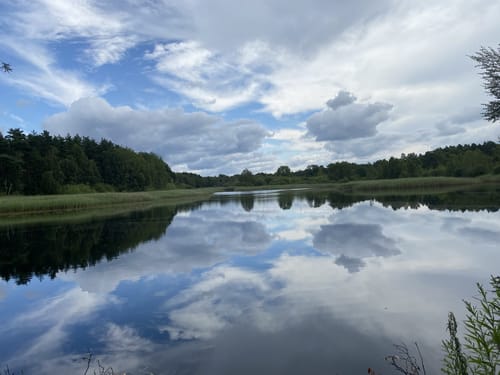 Südheide 'Reine Luft zu sehen' W18k (kurze Tour)