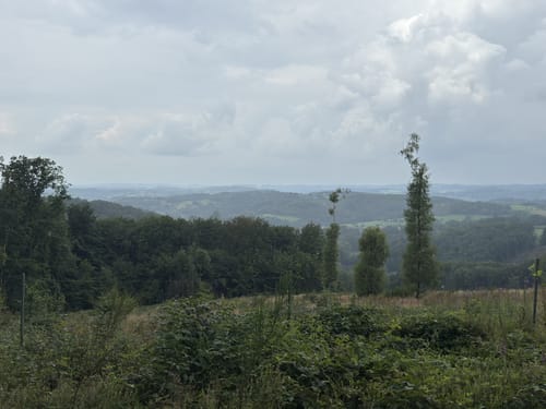 Wacholderweg (Eckenhagen Nr. 12)