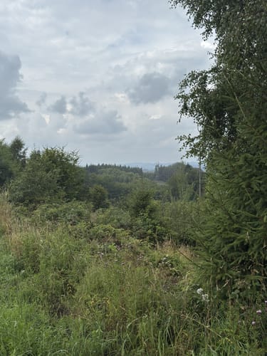 Wacholderweg (Eckenhagen Nr. 12)