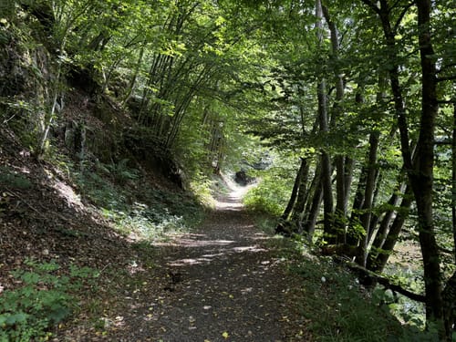Naturpfad Weltende