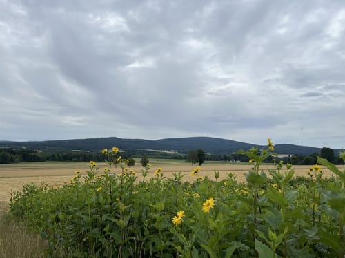 Waldstein - Ruppertsgrün