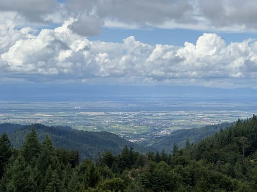 Kälbelescheuer-Nonnenmattweiher