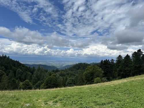 Kälbelescheuer-Nonnenmattweiher