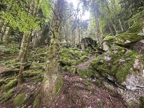 Kälbelescheuer-Nonnenmattweiher
