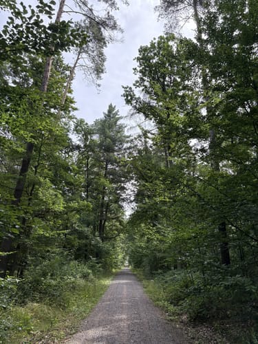 Michelsberger Wald bei Bamberg