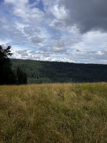 Von Sommerberg zur Grünhütte