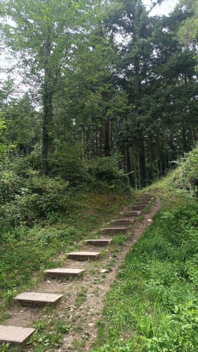 Rund um die Ruine Mont Royal