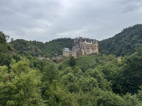 Buchsbaum Wanderweg
