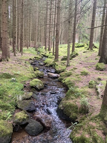 Bankerlweg