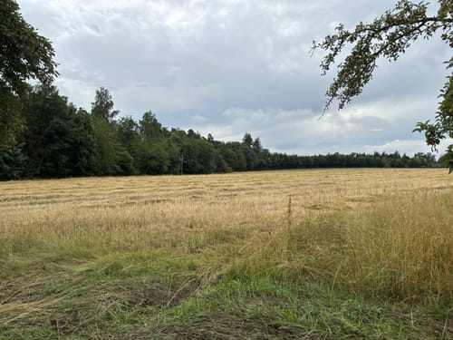 Wanne - Leichts weg -Friedwald Schönbuch